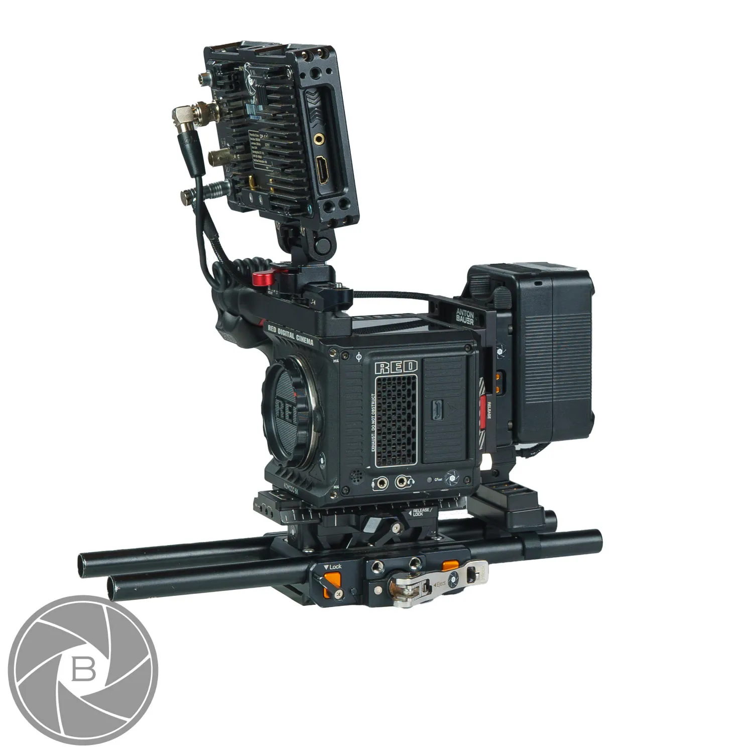 Red komodo (Ready to shoot)