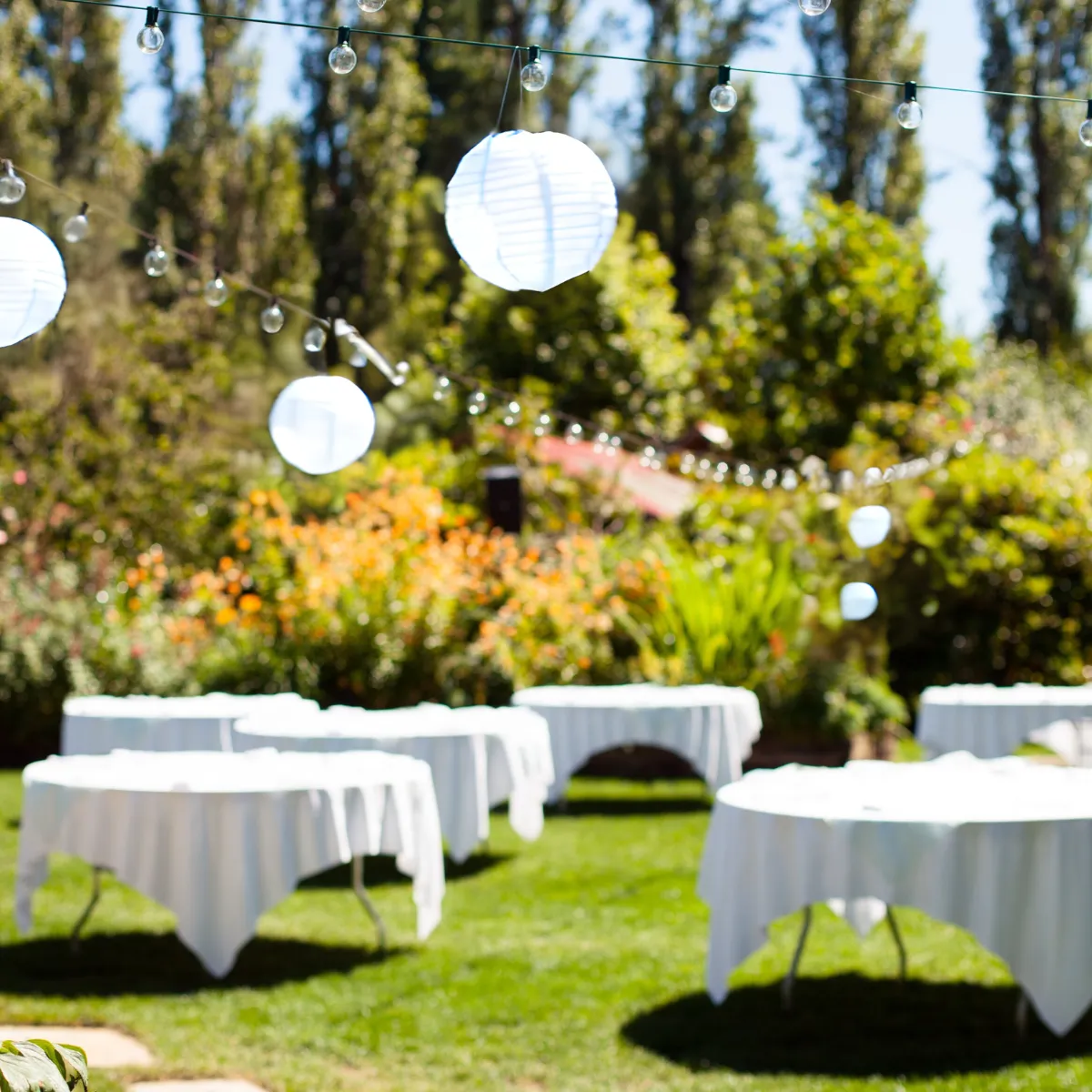 Graduation Collection