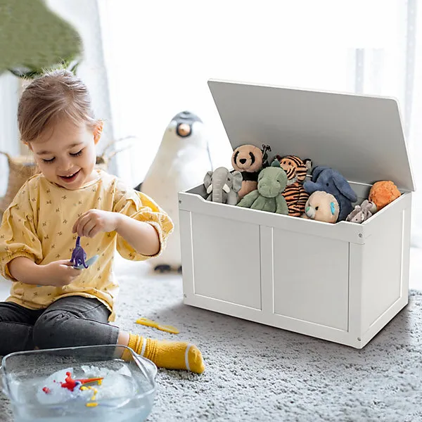 Toy Package