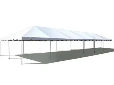 20'x60' Commercial Grade Tent 