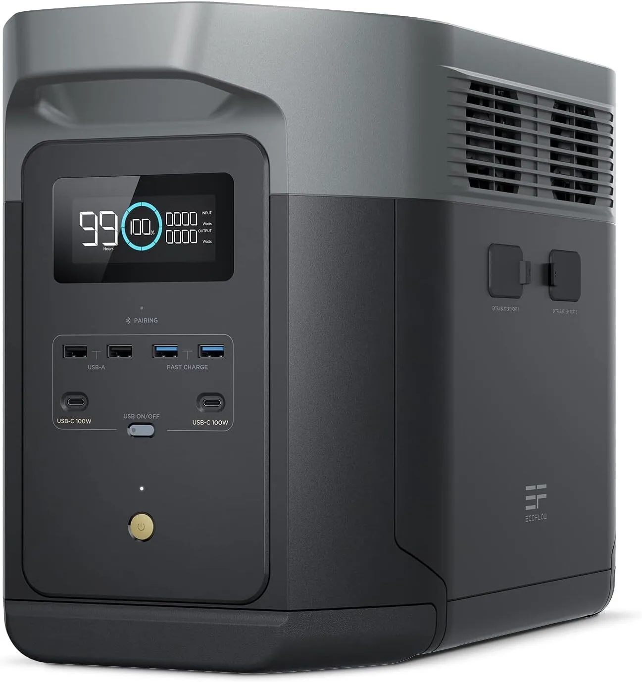 EcoFlow Delta 2 Power Station (1)