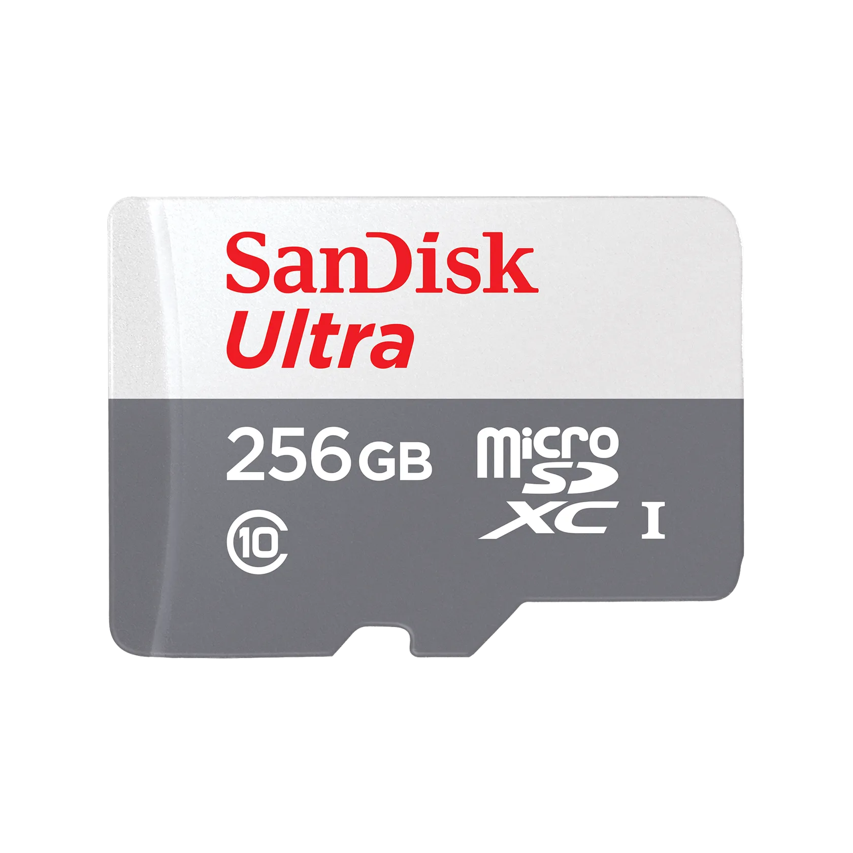 Memory Card (Micro 256 GB)