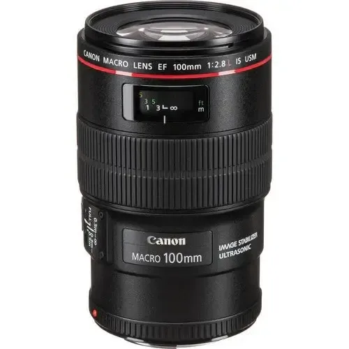 Canon EF 100mm f/2.8L Macro IS USM Lens (ZO)