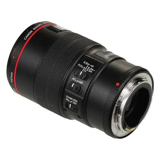 Canon EF 100mm F2.8L MACRO IS USM Lens (3.1)
