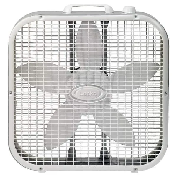 Box Fans - 20in