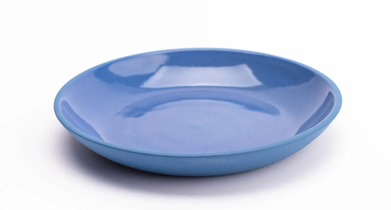 PT Salad Plate Blue