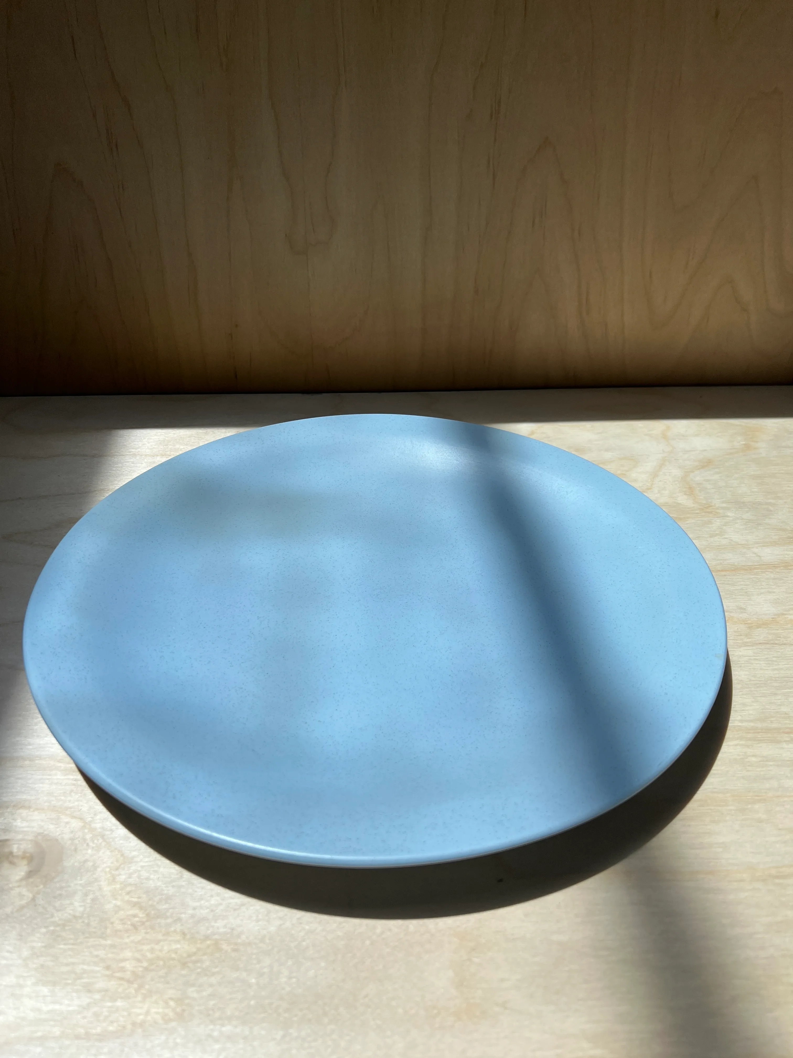 Pale Blue Speckled Serving Platter
