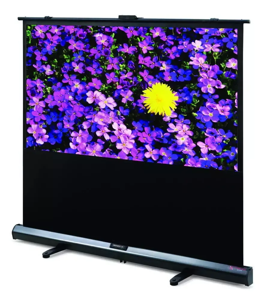 Projector Screen - Pull up 