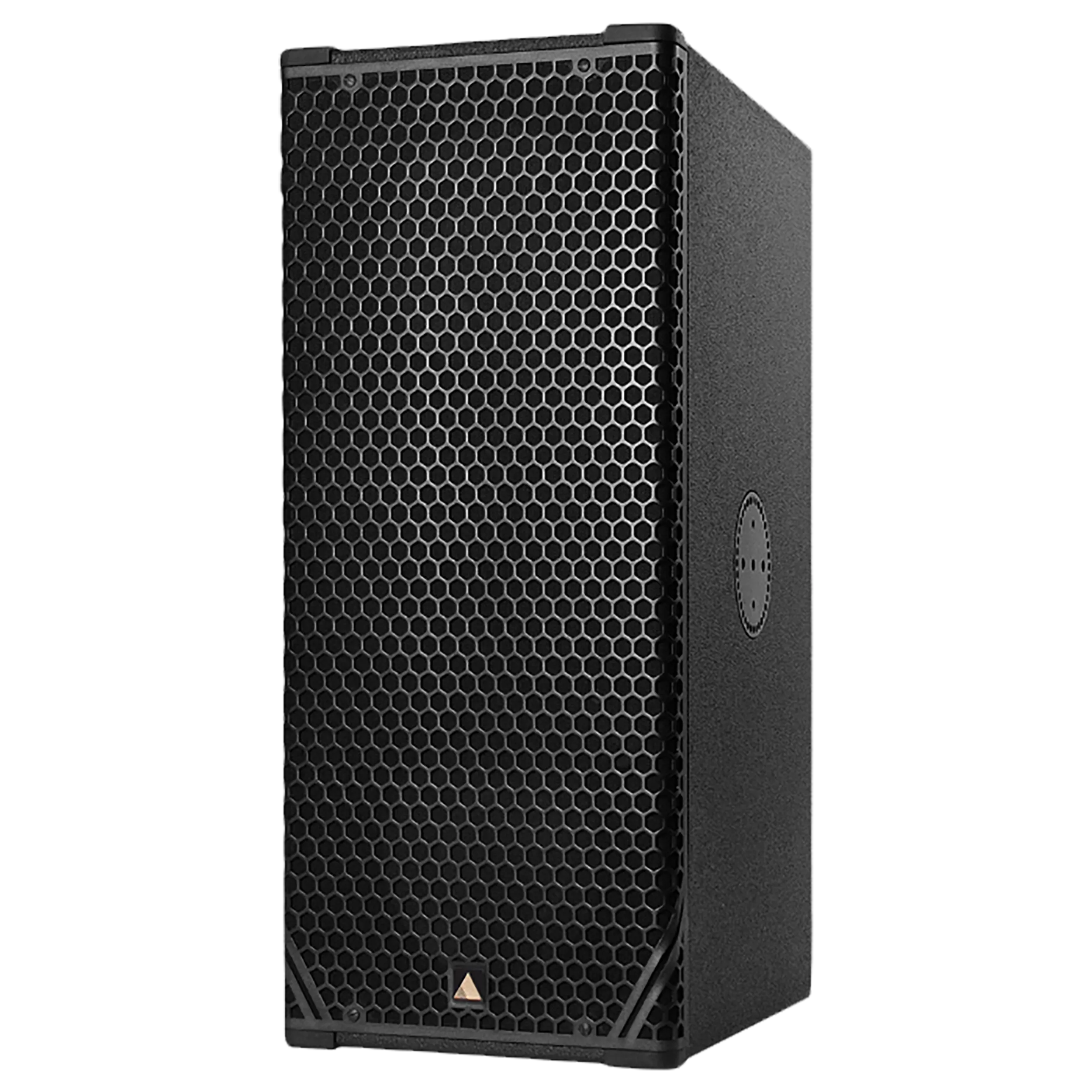 Adamson CS10p Powered Speaker