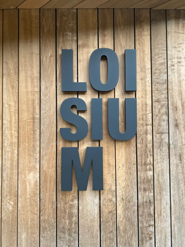 Loisium E-Bike Rental