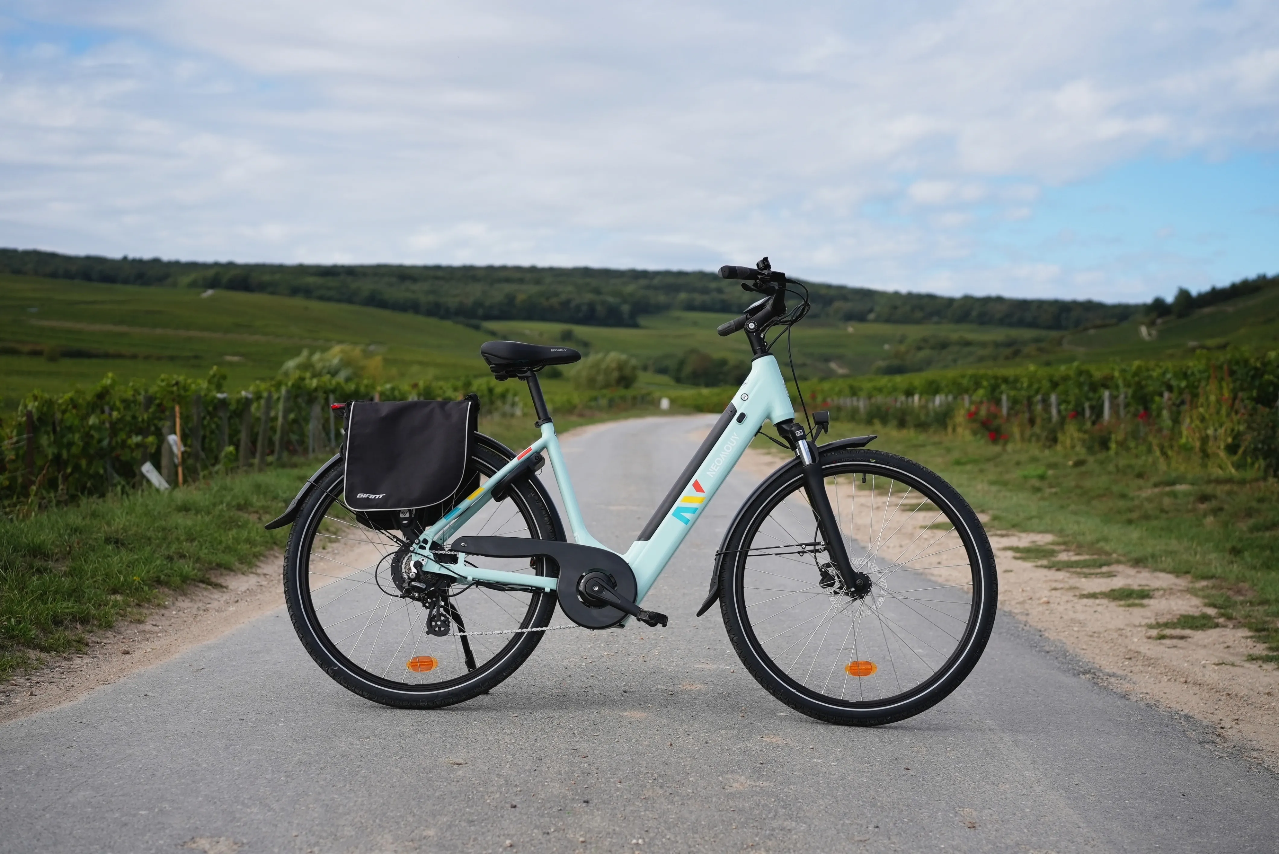 Adult E-Bike B