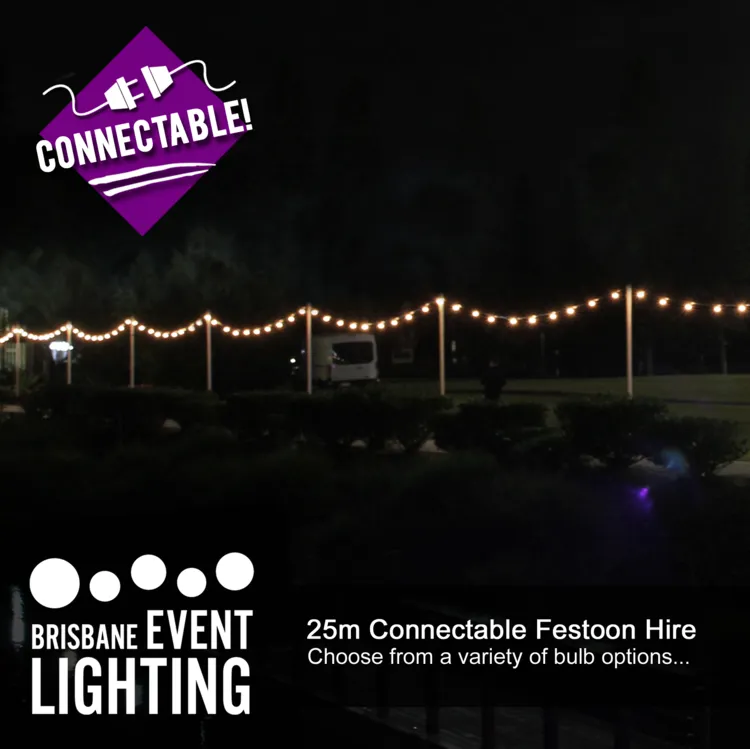 10m Connectable Festoon Light Hire