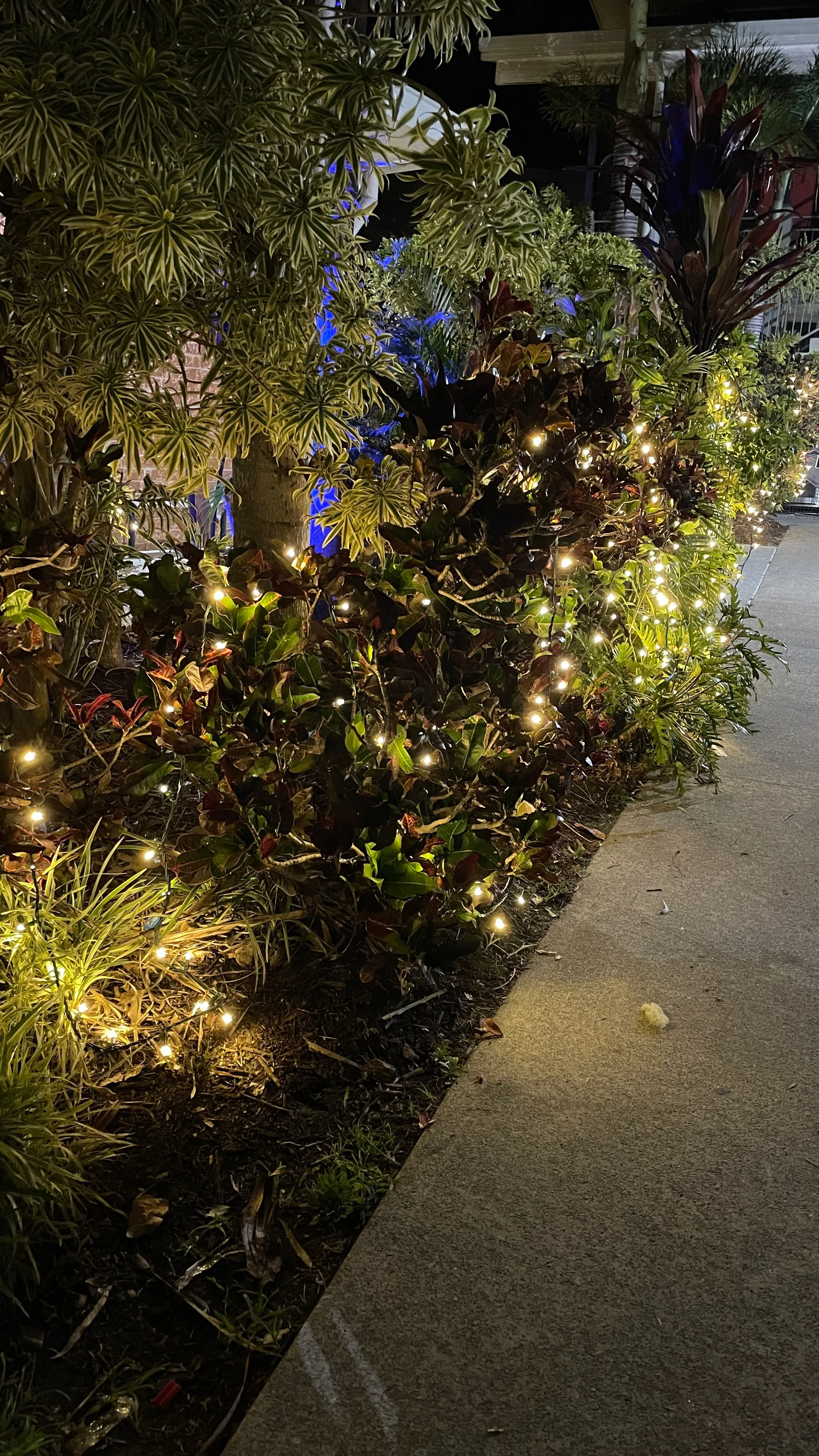 10m Warm White Connectable LED Fairy Light Hire