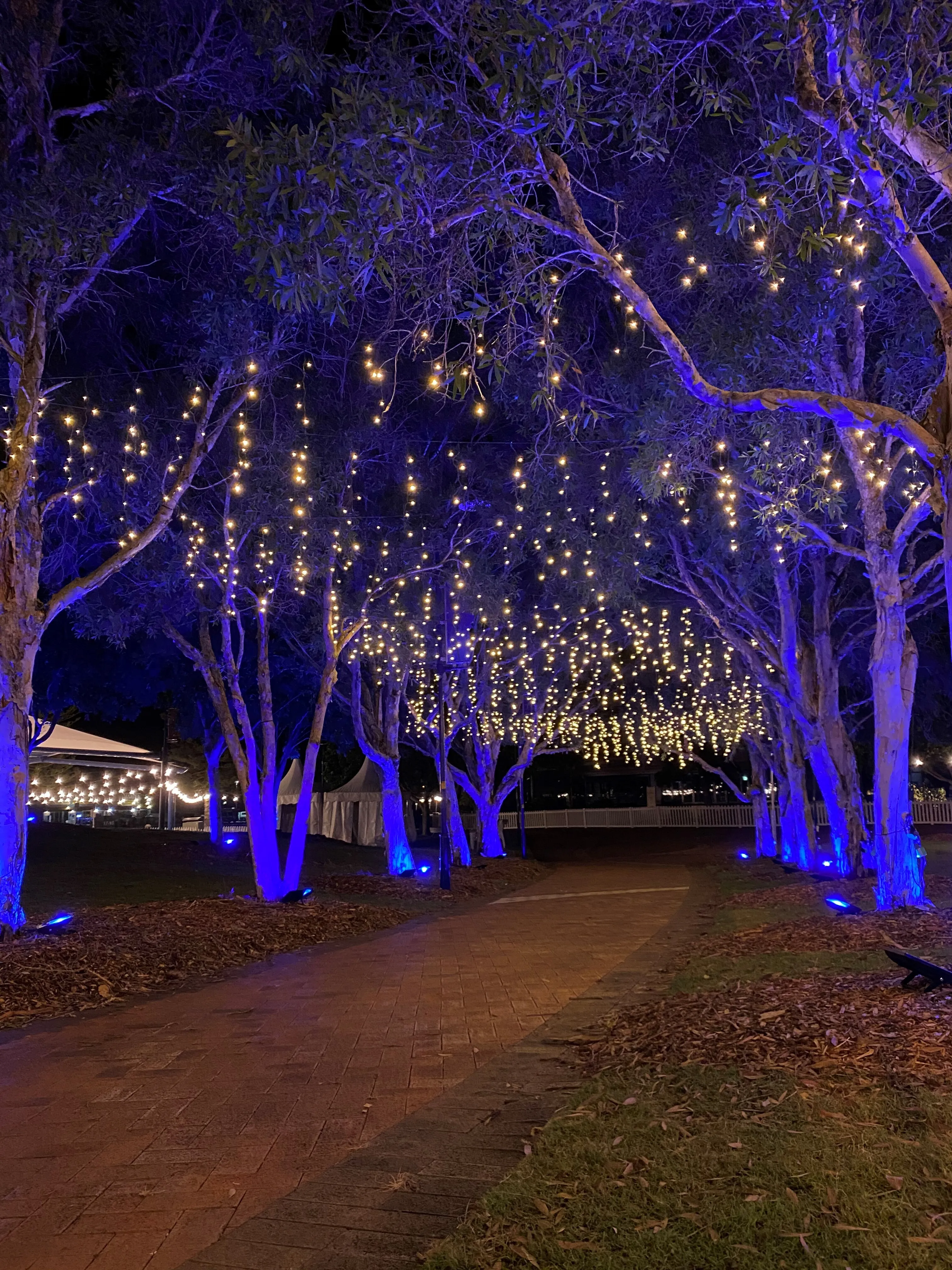 10m Warm White Connectable Icicle Light Hire
