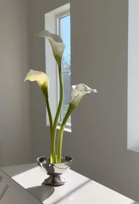 Ikebana Calla Lily Centerpiece Set