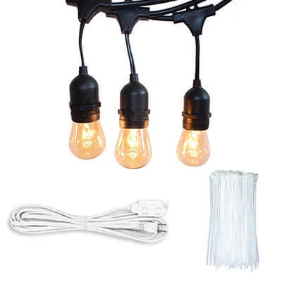 EDISON STRING LIGHT PACKAGE