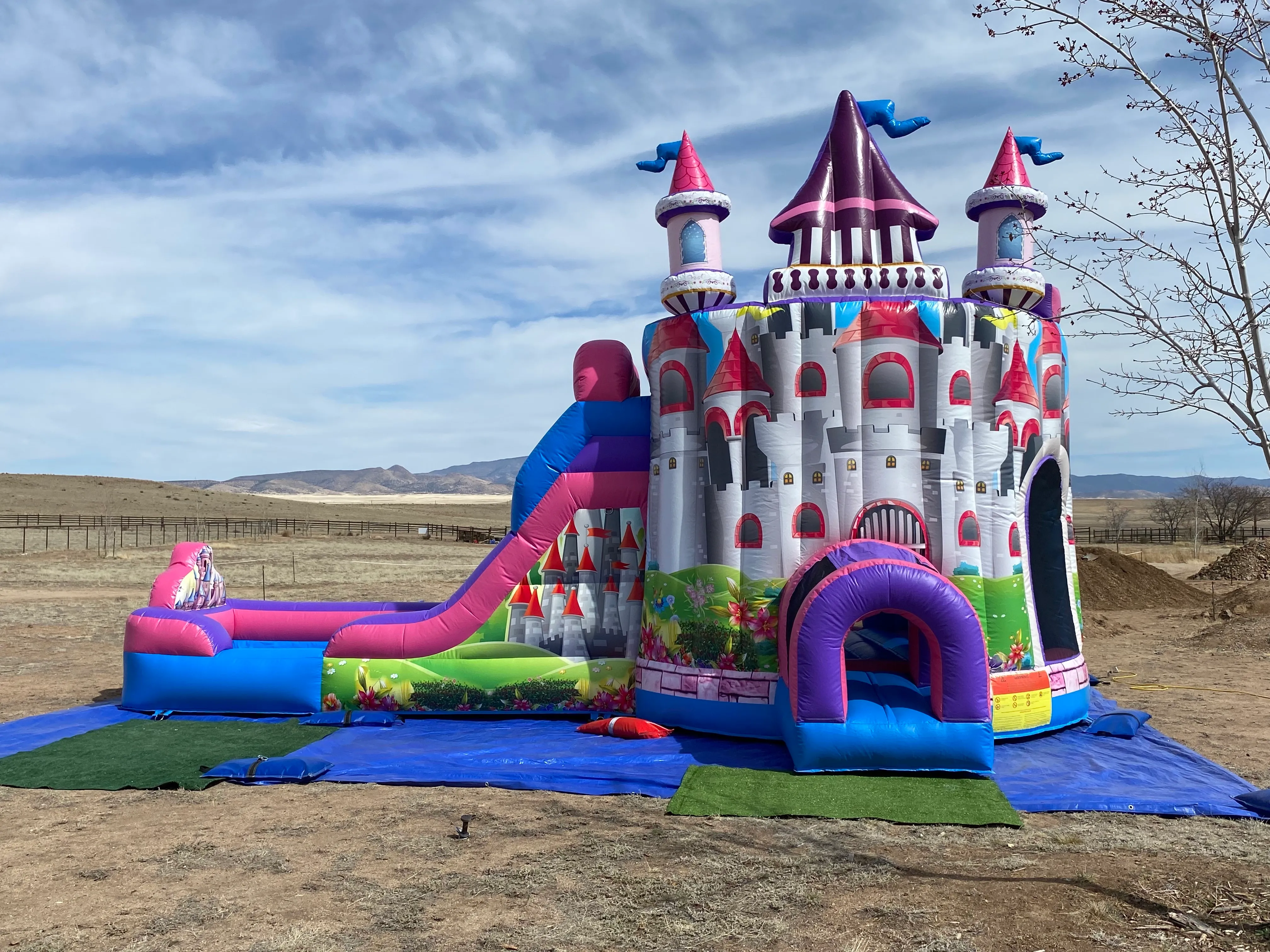 Princess Dream Castle 
