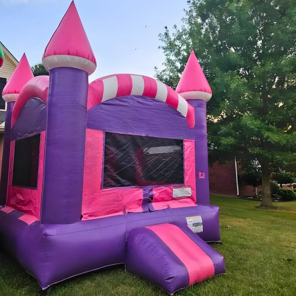 Pink Princess Bounce House