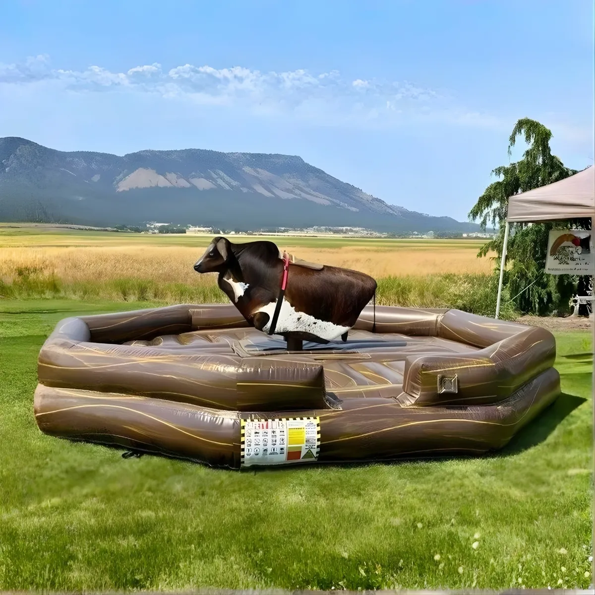 Mechanical Bull