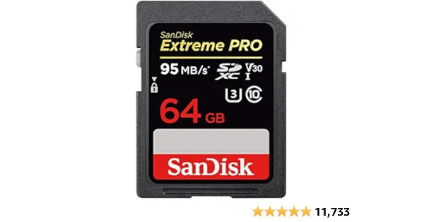 SanDisk 64 GB 95MB Memory Card