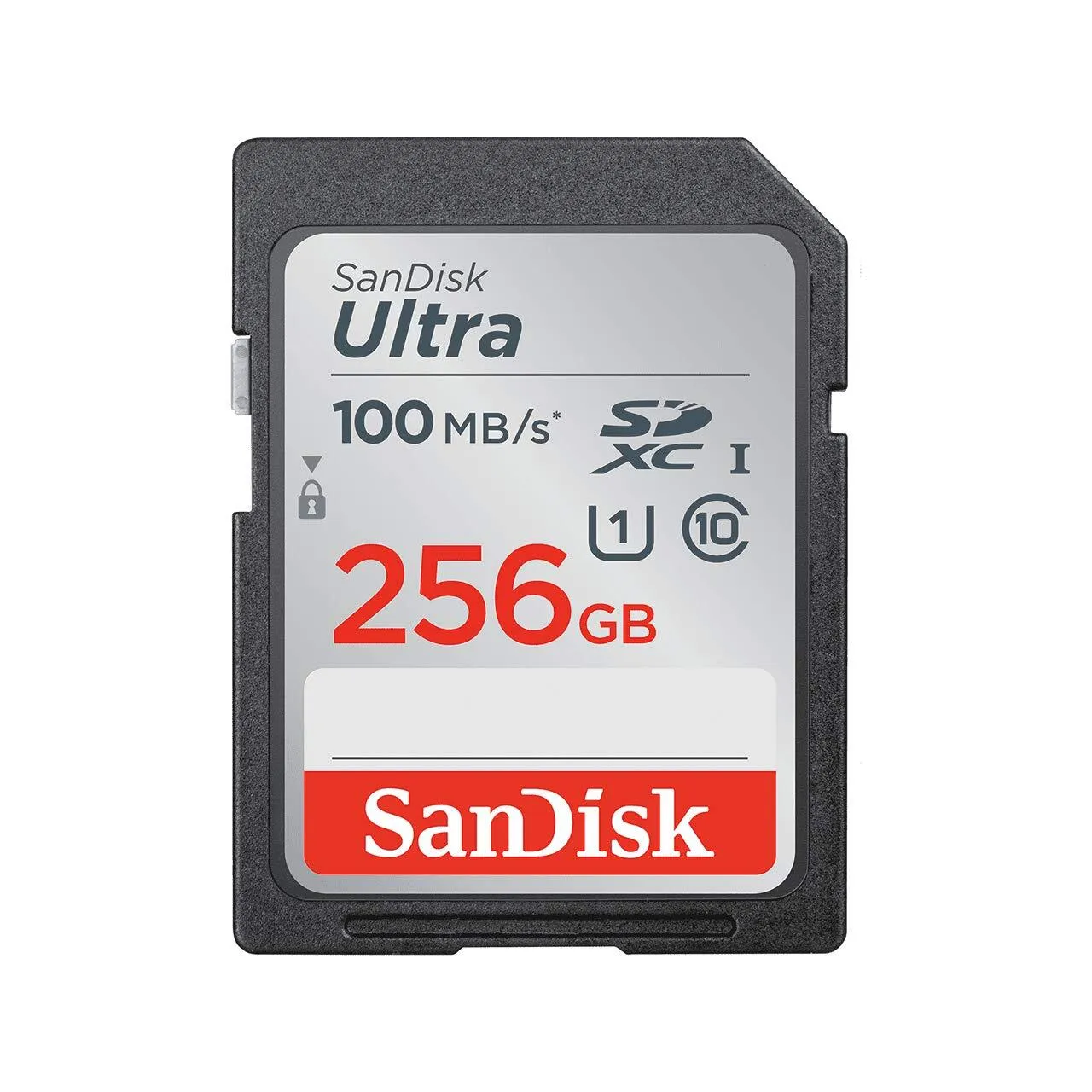SanDisk SDXC Memory Card (256GB)