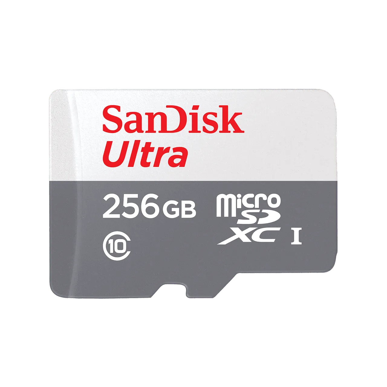 SanDisk Micro SD (256gb)