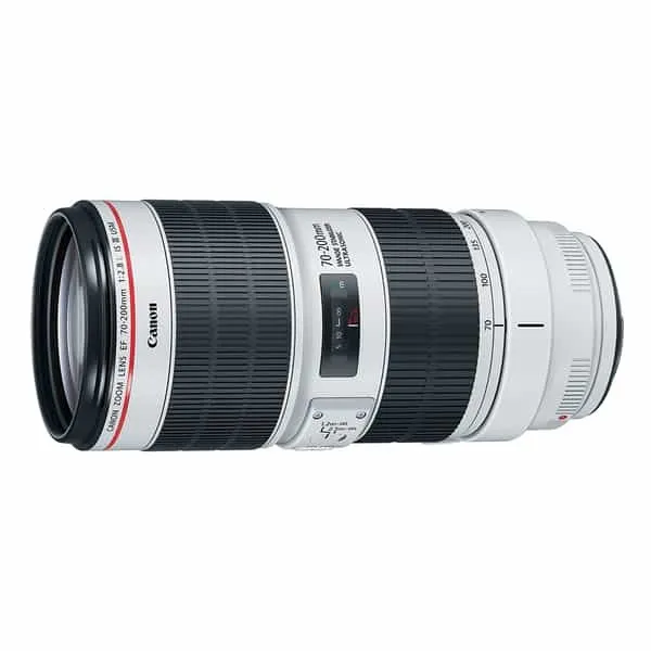 Canon 70-200mm F2.8 (EF-Mount)