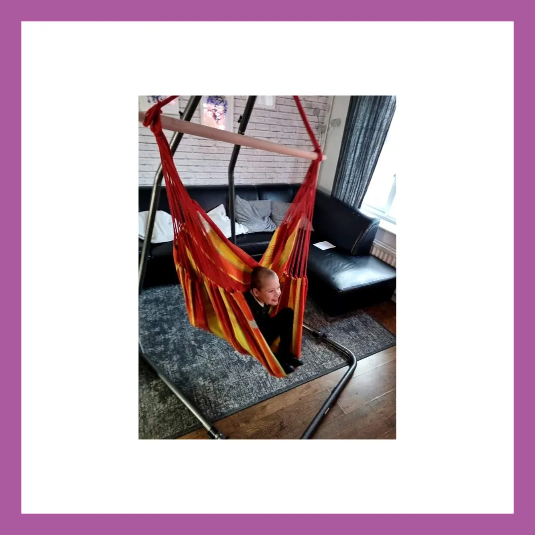 GYM 426 - The Soothe & Swing Hammock Chair and frame