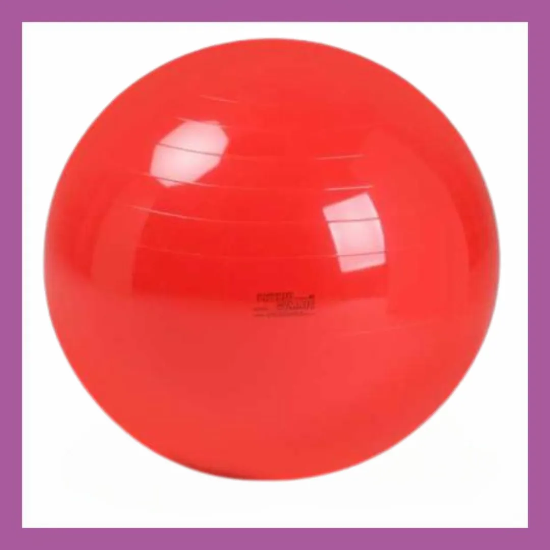 GYM 240 Giant Physio Ball 