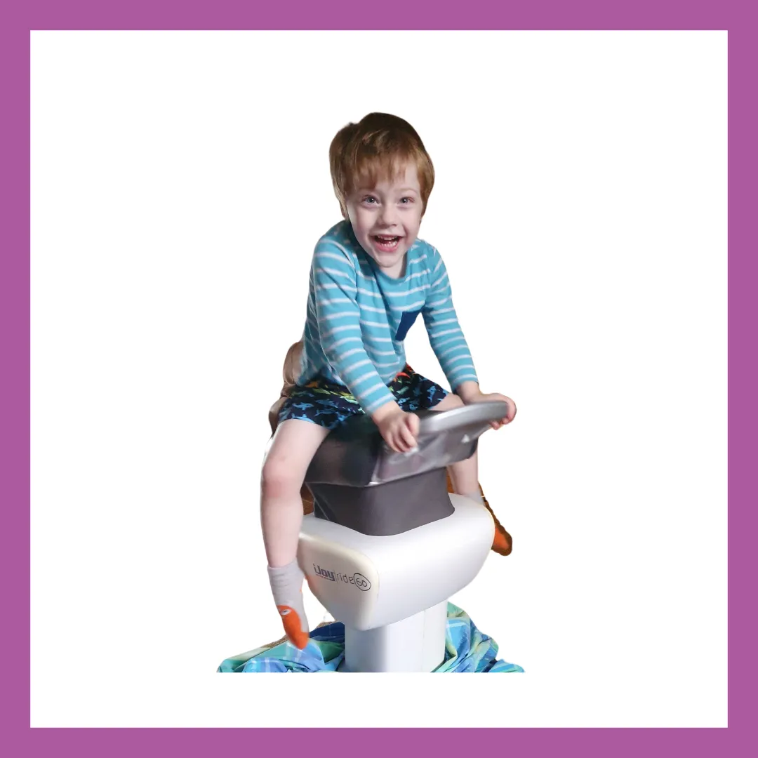 GYM 342 IJoy Ride (horse riding simulator)