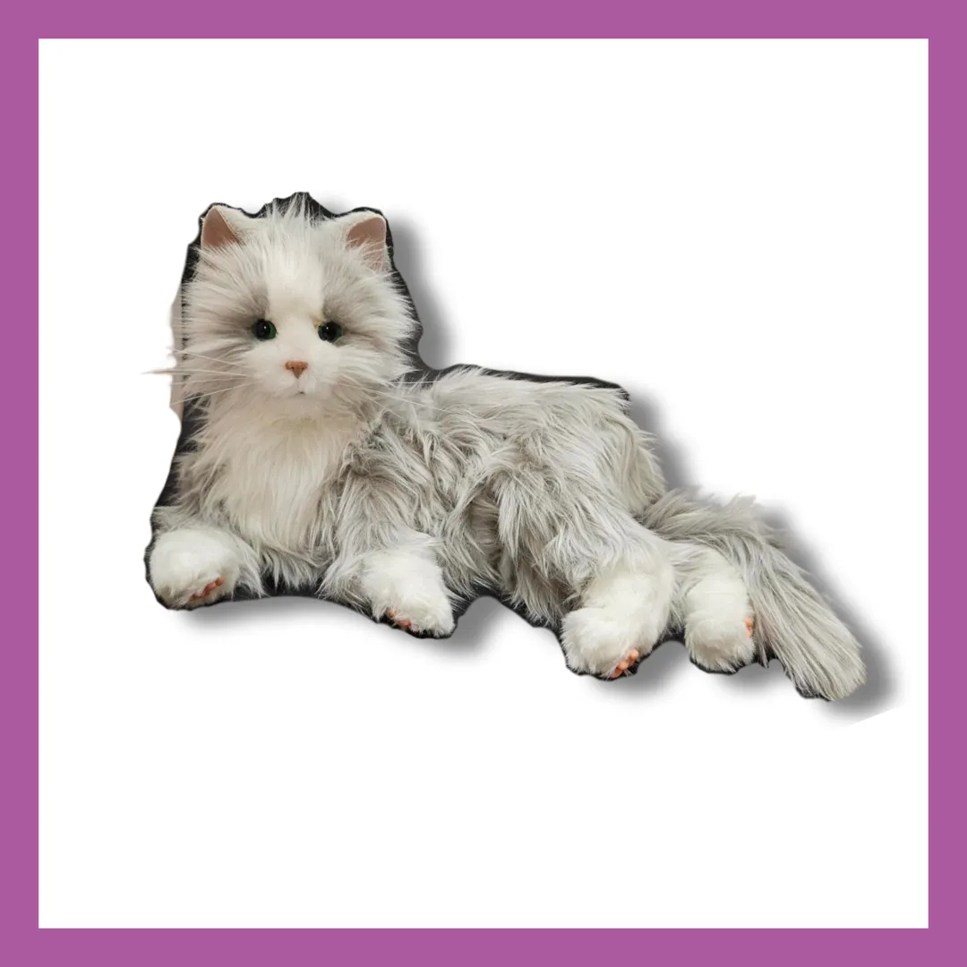 GYM 404 Poppy the Friendly Cat