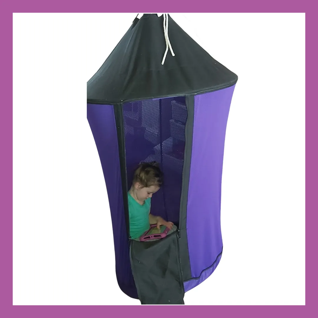 GYM 09 Flying Purple People Eater Swing