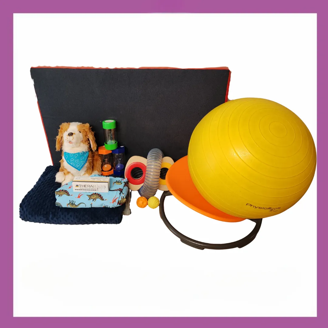 Sensory Support Kit (For schools only 10)