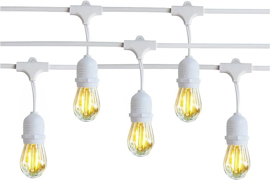 24ft Strand White String Lights