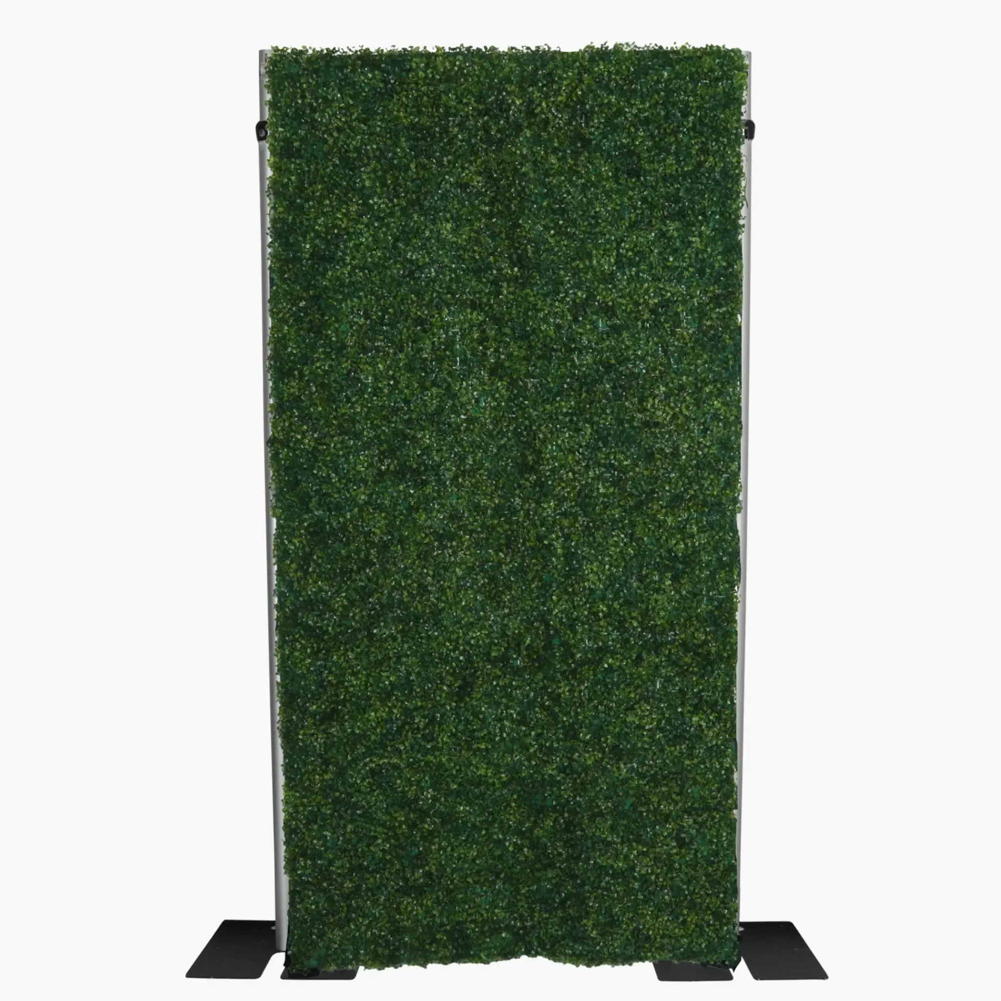 Boxwood Greenery Wall Backdrop 8ft x 4ft
