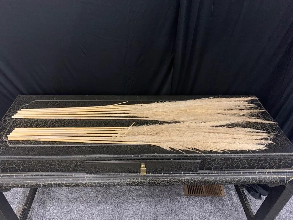 Pampas Grass- Brown/ Thin 4'L 1"W