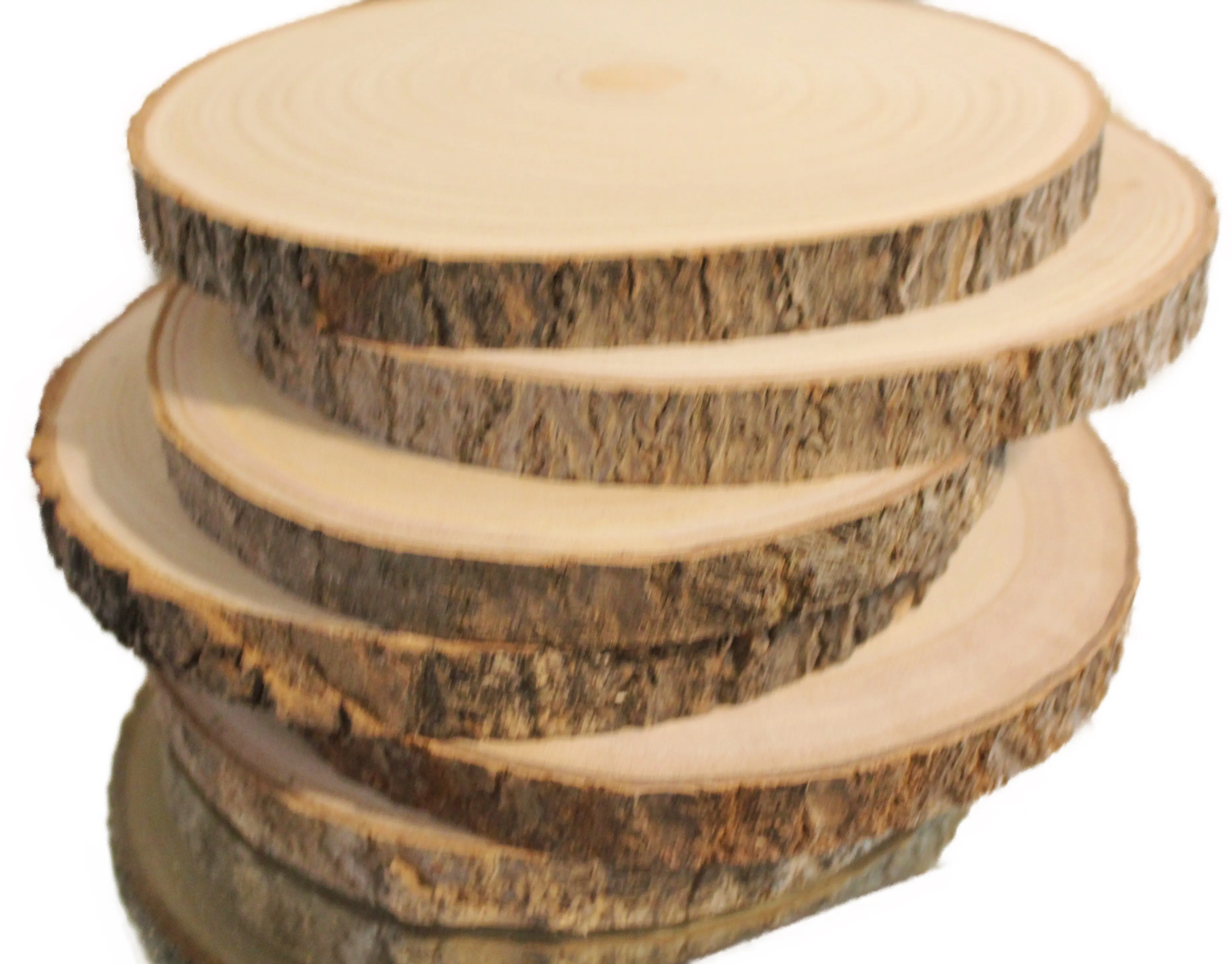 Wood- Wood Slice 8-9"