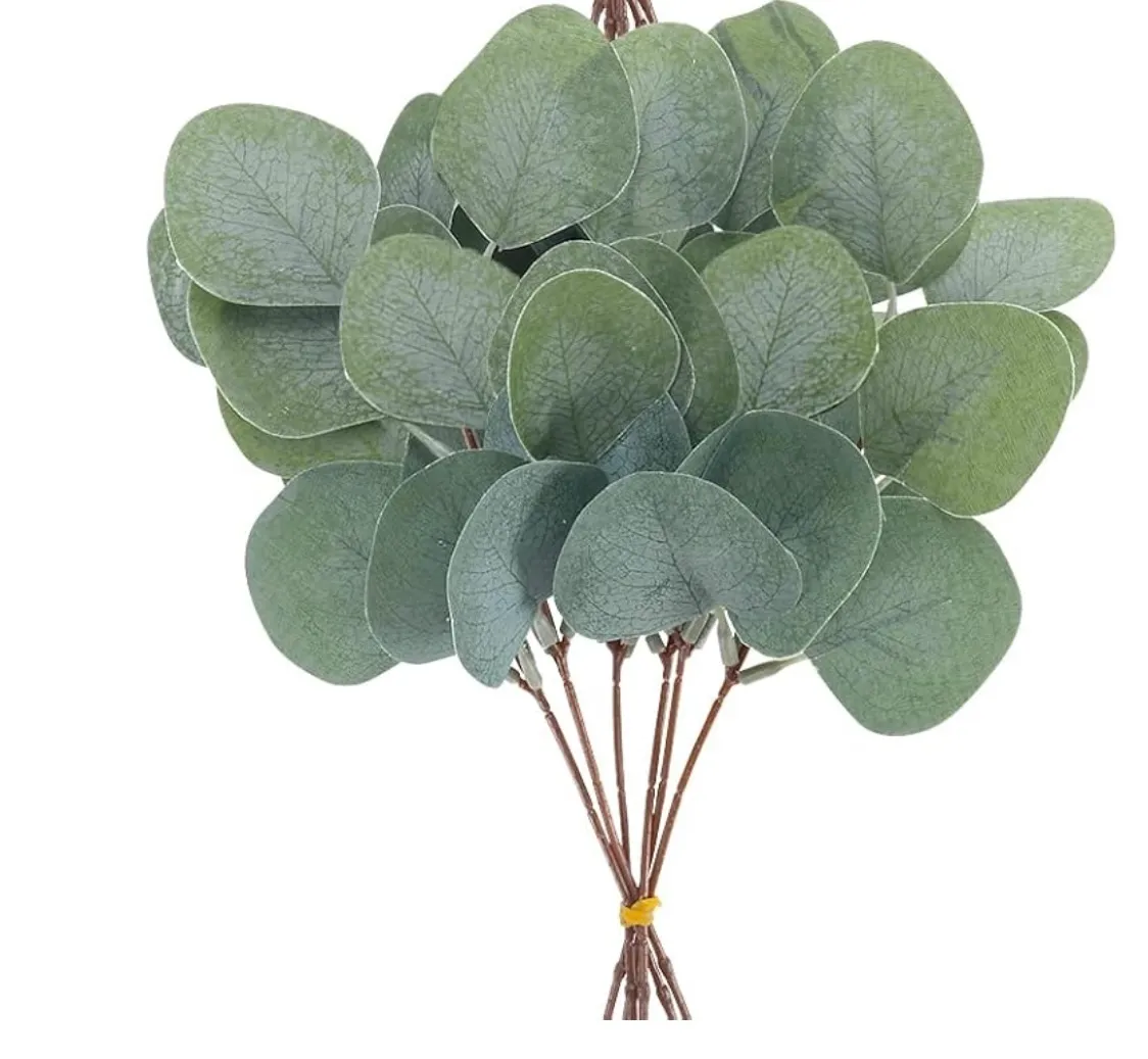 Florals- Eucalyptus Stems, Silver Dollar 10 pcs. 