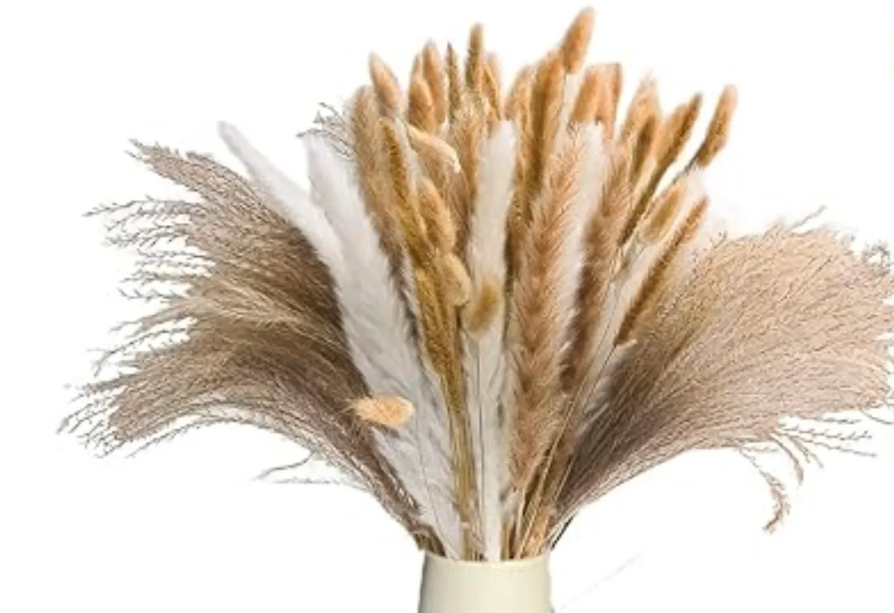 Florals- Pampas Grass, small 17", small bundle 