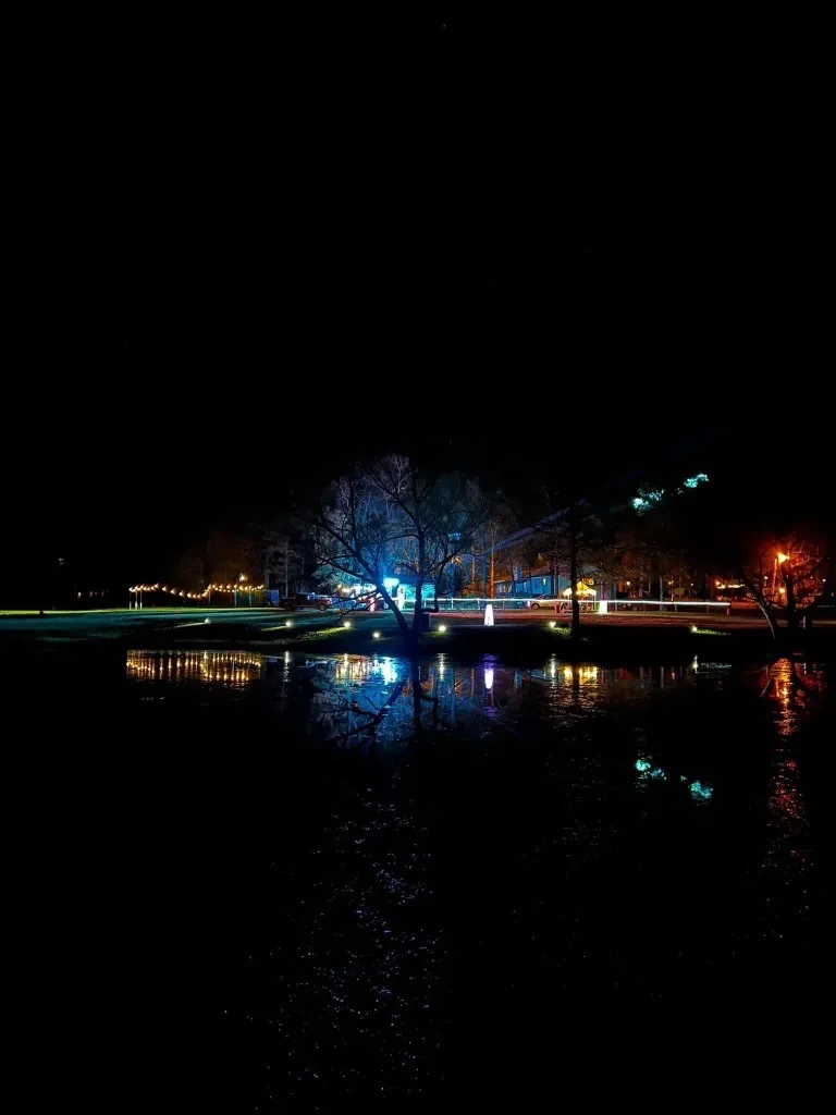 Lights- Solar String Lights 60 ft. S14 Commercial Grade