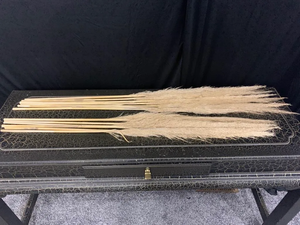Florals- Pampas Grass Thin Stems 3' 9”
