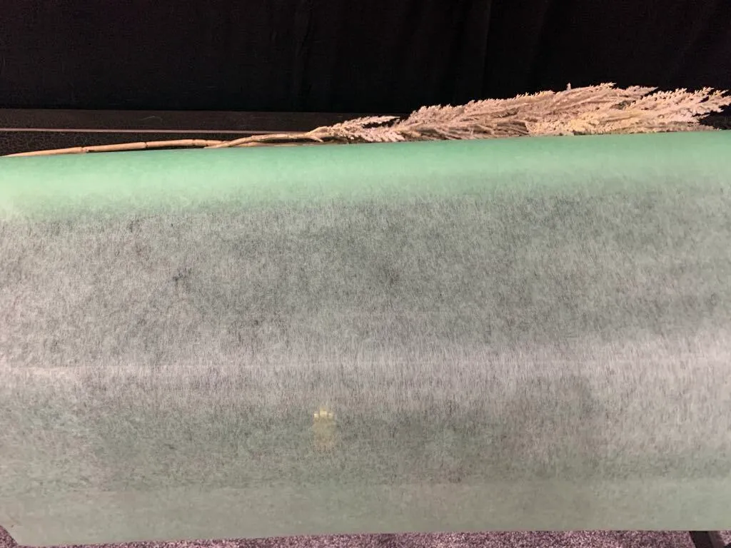 Isle Runner- Teal