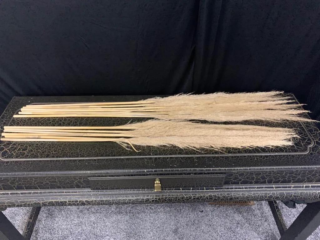 Pampas Grass- Brown/ Thin 3'6"