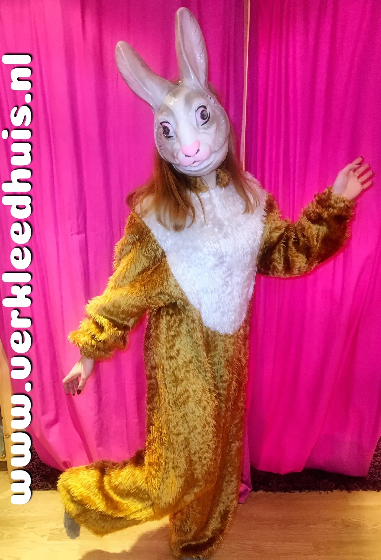 Paashaas mascotte kostuum 03 huren