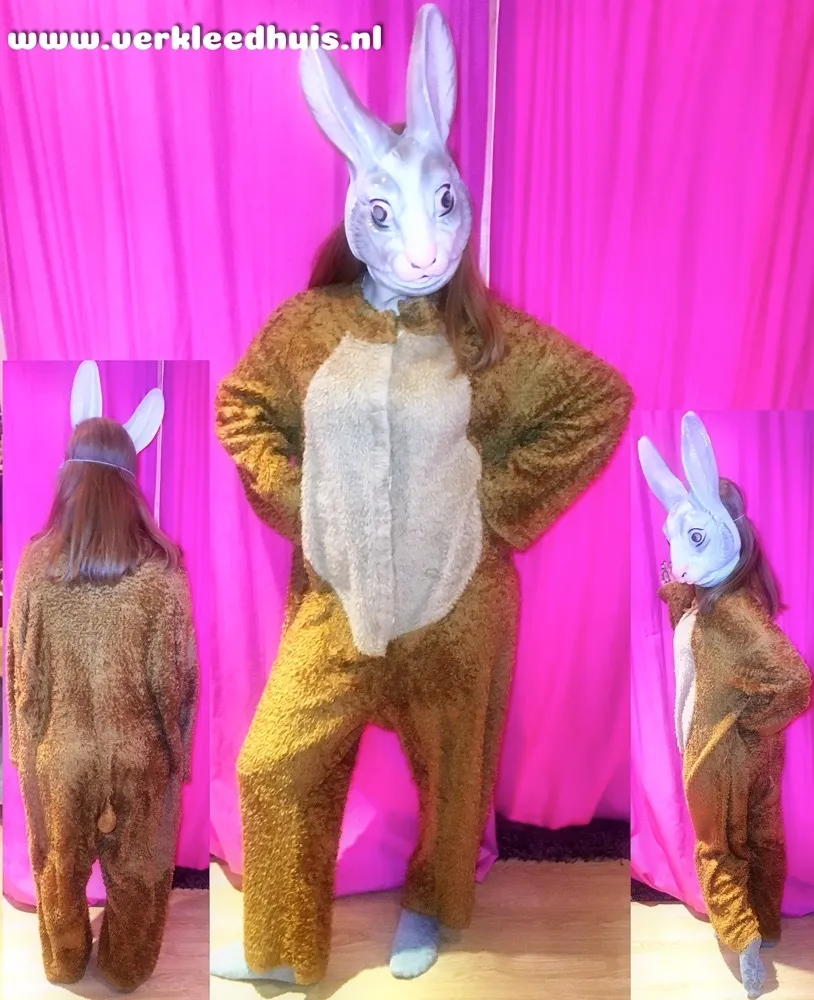 Paashaas mascotte kostuum 02 huren
