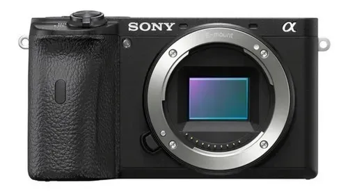 SONY A6600 (APS-C)