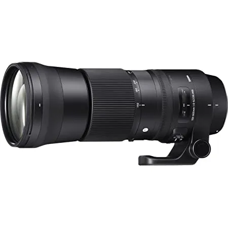 SIGMA CONTEMPORARY 150-600mm f5.6-6.3  (Canon) - FF (95ø)