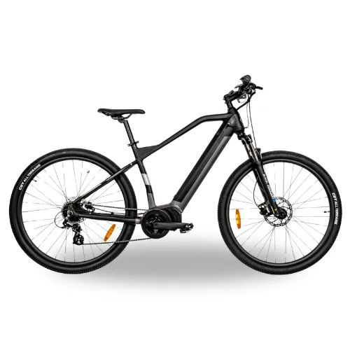 E-MTB