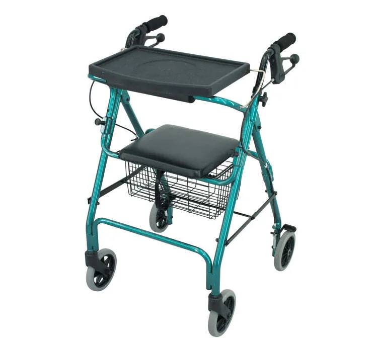 Super Stroller Walking Frame with Folding Tray