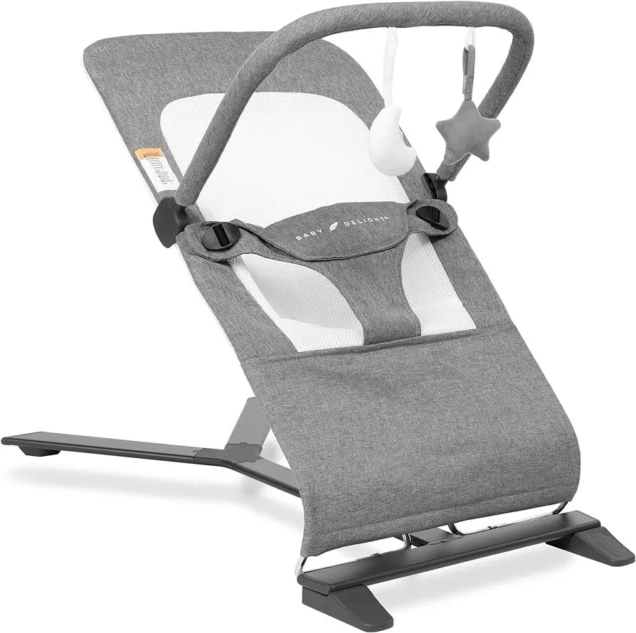  Baby Delight Alpine Deluxe Portable Bouncer